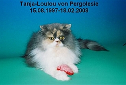 Loulou